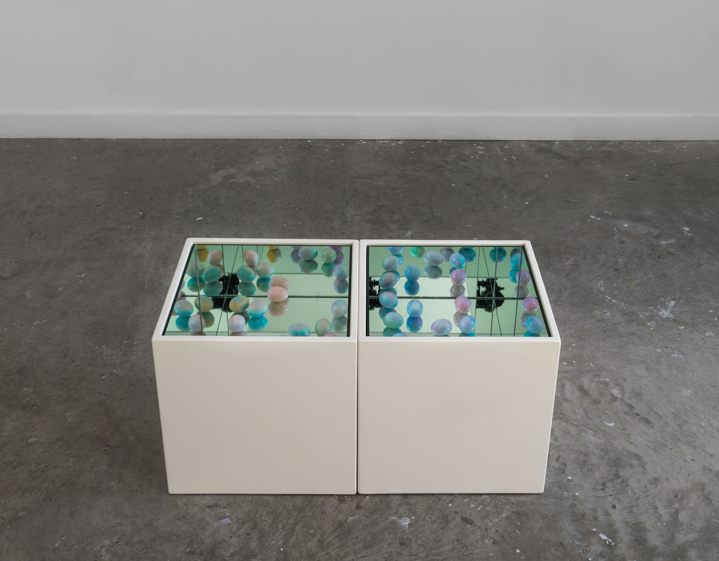 Yukako Shibata, Eggland I. Front view of the two adjoining display cases.