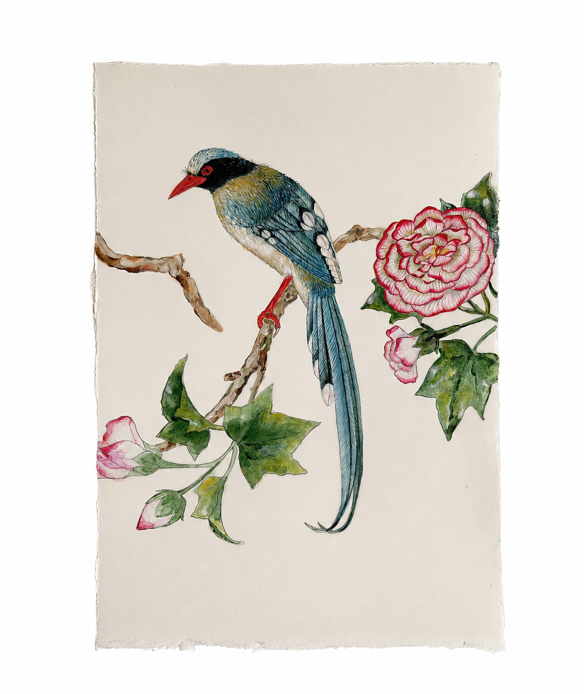 Blue bird with orange bill by Sutapa Biswas